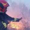 Incendiu de vegetație în localitatea Dumbrăvița