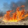 Peste 50 de incendii de vegetație, în județul Covasna, în acest an