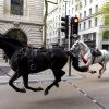 Cel puțin 4 victime după ce doi cai din garda regală a Angliei au gonit sălbatic pe străzile din Londra