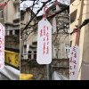 Copacul cu dorințe din București, locul care a devenit viral pe internet. Cine a venit cu ideea: „Sunt autentice”