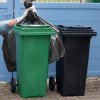 Singurul oraș din lume în care au fost interzise coșurile de gunoi. Motivul este șocant