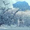 Zona din România în care e iarnă în toată regula! Unde ninge cu fulgi mari acum, imagini superbe