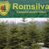 Cresc veniturile șefilor de la Romsilva și scad bonusurile pentru angajați