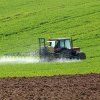 Fost ministru al Agriculturii: Peste 90% dintre fermierii români nu sunt performanți  