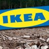 IKEA, bombardată de acuzații: 59 de abuzuri în pădurile din România