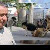 Peste 4.500 de lei cheltuiți pentru fiecare câine capturat și eutanasiat în jud. Buzău