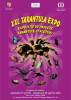 Expoziție inedită, la Muzeul Județean: tarantule XXL, fluturi exotici și scorpioni