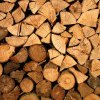Lege promulgată: Preţul mediu de vânzare a lemnului este aprobat prin lege; recoltarea e limitată