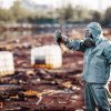 Maramureș: Dosare penale pentru depozitarea deșeurilor chimice