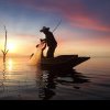 MARAMUREȘ – Probleme pentru unii din cauza unor pești capturați