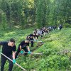 400 de puieți de stejar, plantați de elevi ai Colegiului Militar din Alba Iulia