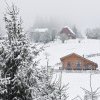 FOTO| Zăpadă la Arieșeni. După zile caniculare, peisajul a devenit unul de iarnă