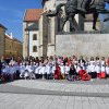 O nouă ediție a concursului județean „Mugurii Crucii Roșii”. Evenimentul a avut loc Palatul Principilor din Alba Iulia