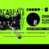 Oxigen Planting Festival: două zile de plantare și concerte la Șag, lângă Timișoara