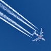 Pasagerii unor companii aeriene ar putea fi refuzați la îmbarcare din cauza unor reguli de eticheta