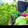 În peste 40% din legumele românești sunt urme de pesticide. Mărarul, salata și roșiile, cele mai tratate. Le mai consumăm sau nu?