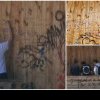 Câțiva tineri au vandalizat pereții unei clădiri de la Insula de Aglement