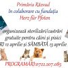 În comuna Răzvad va avea loc  o acțiune de sterilizări gratuite pentru câini şi pisici
