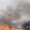 Incendiu de vegetație pe 15 ha, în comuna Tătărani