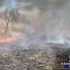 Incendiu de vegetație uscată în localitatea Ionești