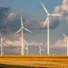 Acorduri de mediu pentru patru parcuri eoliene în Caraș-Severin. Fechet: Suntem datori să identificăm soluţii pentru protejarea naturii