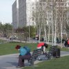 Au fost aprobate exproprierile pentru extinderea unor parcuri din București. Vor fi amenajate și mai multe grădini publice