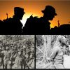 Au trecut de două ori prin infern: Cum au supraviețuit 5 soldați Marșului Morții și celei mai mari catastrofe pe mare din istoria SUA