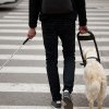 Câinii ghizi ai persoanelor nevăzătoare vor avea acces oriunde. Parlamentul a votat proiectul de lege al USR