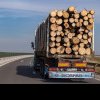 Cum au reușit hoții de lemn să păcălească sistemul SUMAL făcut să depisteze defrișările ilegale