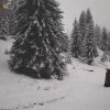 Furtuna Renata a ajuns în România. La munte ninge. Jumătate din țară e sub alertă de vijelii, cod galben de inundații în șase județe