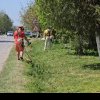 La Bogdana, primarul îi vrea amendați pe voluntarii care curăță șanțurile
