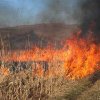 Au dat foc la iarbă şi la buzunare: Nouă persoane au primit amenzi pentru arderea vegetației uscate, în ultimele zile