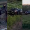 Cazul femeii care a aruncat gunoiul din Lexus într-un câmp şi a plecat: Ce spune şeful de Mediu