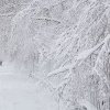 Cod galben de ninsori abundente în România: Meteorologii anunță unde se va depune stratul de zăpadă