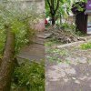 (foto) Acoperișul unei gherete, distrus de un copac doborât de rafalele de vânt: Zeci de curți și străzi, blocate de crengi rupte, în capitală