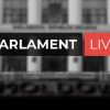 (live) Deputații, în ședință. Moartea groaznică a Anei-Maria, discutată în Parlament: „A murit doar pentru că este femeie”