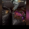 (video) Cu mașina burdușită cu pachete negre: Un șofer, oprit de vameși, la Tîrnova