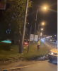 (video) Oameni, care sar din mers din mașină și polițiști care trag din arme: Momentul reținerii microbuzului plin cu migranți, condus de un moldovean