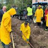 1500 de chiparoși vor fi plantați pe străzile Municipiului Blaj