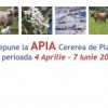 În intervalul 4 aprilie -7 iunie, APIA primește Cereri de Plată pentru anul 2024