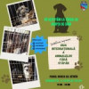 Sâmbătă, 6 aprilie, Primăria Râmnicului va marca Ziua Internațională a Animalelor fără Stăpân printr-un târg de adopții de câini