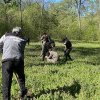 Comisarii Gărzii de Mediu Dolj au plantat copaci în pădurea Bratovoiești