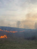 Gorj: Incendiu de vegetație uscată la Stoina