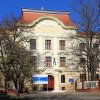 Norovirus, cauza intoxicațiilor de la Colegiul Loga din Timișoara