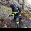 Stingerea incendiului de vegetație izbucnit în Munții Făgăraș continuă