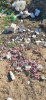 Sute de flacoane cu sânge, aruncate pe câmp la Ghindeni