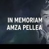 (VIDEO) In memorian Amza Pellea la Cinemaraton TV