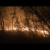 (VIDEO) Nouă incendii de vegetaţie în ultimele 24 de ore în Mehedinţi