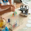 Zeci de laboratoare ale şcolilor din Craiova vor fi îmbunătăţite anul acesta