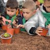 Împreună pentru un viitor verde! Peste 500 de elevi din școlile piteștene au fost în parcuri și serele Salpitflor Green